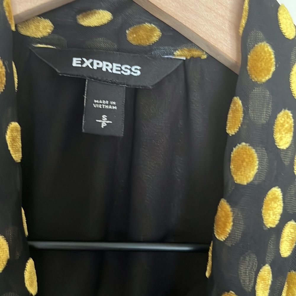 Express Long Sleeve Sheer Lined Gold Velvet Dot Blouse Size Small - Picture 10 of 11